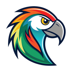 Detailed close up depicts a macaw head with vibrant colors, showcasing its detailed feather