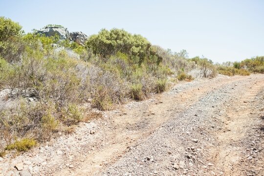 Fototapeta Winding gravel road is curving through arid flat design scene, with low scrub bushes