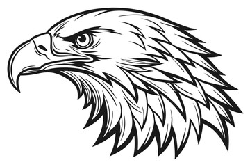 Detailed black and white eagle profile reveals fierce gaze and intricate feather texture