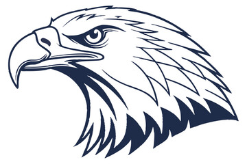 Detailed side view of a fierce eagle head with strong lines shows vector