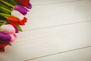 Multicolored tulip bouquet is being shown in flat design on whitewashed wooden tabletop, copy space