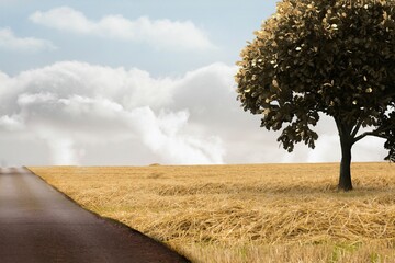 Road leading out to the horizon