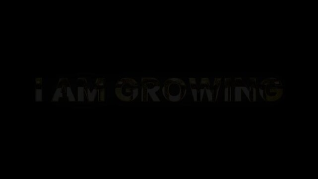 I am growing text golden glitters shine with animation video
