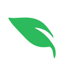 Leaves icon set. Leaves icon on transparent background. Collection green leaf. Eco leaves collection. Ecological concept.