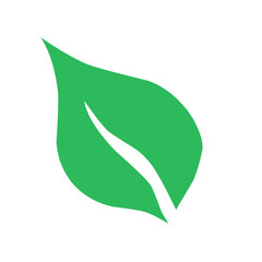 Leaves icon set. Leaves icon on transparent background. Collection green leaf. Eco leaves collection. Ecological concept.