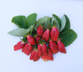 strawberries