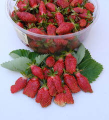 strawberries