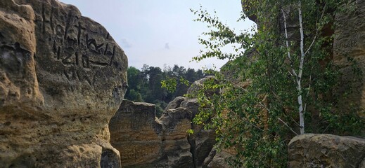 Klusfelsen an einem sonnigen Frühlingstag, bei Halberstadt, Harz, Huy, Sachsen-Anhalt