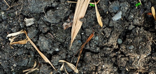 Cracked earth showing arid and dry conditions, suitable for concepts of drought, heat, or ecology. High-resolution depiction of a natural phenomenon, offering visual focus on environmental.