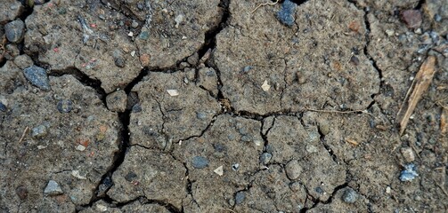 Cracked earth showing arid and dry conditions, suitable for concepts of drought, heat, or ecology....