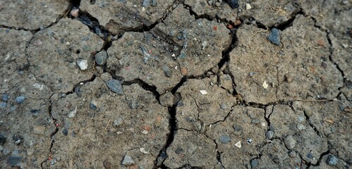 Cracked earth showing arid and dry conditions, suitable for concepts of drought, heat, or ecology. High-resolution depiction of a natural phenomenon, offering visual focus on environmental.