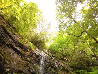 Morning in the Grotto