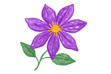Colorful crayon drawing of a purple flower with green leaves blooming on a transparent background
