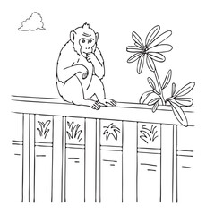 cute monkey monkey sitting on fence vector sketch bali