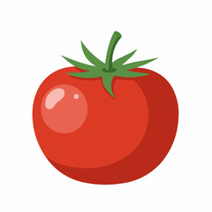 Flat tomato Icon clipart  cartoon animation vegetable vector illustration design for kids and children books for learning fruits and alphabet