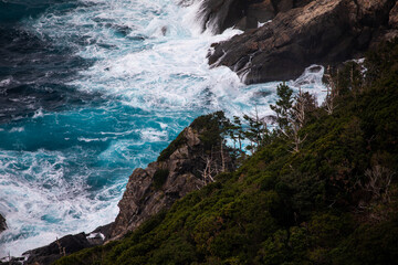 Forest Road in the western part of Yakushima Island, Kagoshima Prefecture, Japan, the scope of the World Natural Heritage