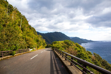 Obraz premium Forest Road in the western part of Yakushima Island, Kagoshima Prefecture, Japan, the scope of the World Natural Heritage