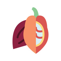 Cocoa Fruit icon