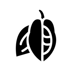 Cocoa Fruit icon