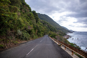 Forest Road in the western part of Yakushima Island, Kagoshima Prefecture, Japan, the scope of the World Natural Heritage
