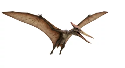 Fototapete Rund Vliegende pterosaurus zweeft elegant voor witte achtergrond. AI Generated © Lucas