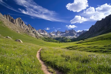 Obraz premium Lush valley with a hiking trail leading through a meadow beneath towering mountains.