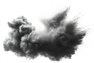 A surreal explosion of soft dust particles, creating a swirling cloud effect with shades of gray on white.