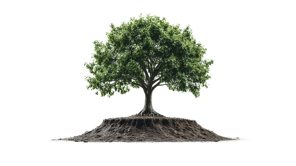 Tree as part of recycling logo, eco-friendly concept Transparent background, PNG
