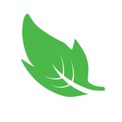 Natural set of abstract isolated green leaves icons, eco signs and label, plant branches, twigs tea and natural sprigs silhouettes on white background