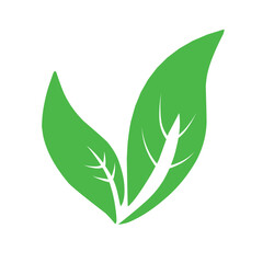 Natural set of abstract isolated green leaves icons, eco signs and label, plant branches, twigs tea and natural sprigs silhouettes on white background