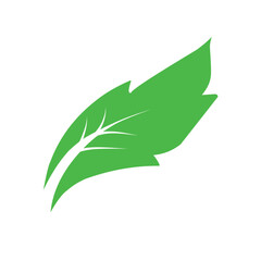 Natural set of abstract isolated green leaves icons, eco signs and label, plant branches, twigs tea and natural sprigs silhouettes on white background