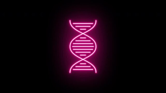 Neon DNA helix icon, flickering emergence and fading. Glowing neon DNA strand icon, looped animation. Gene engineering, DNA mutation, genetic data research, biotechnology. Red pink magenta colors