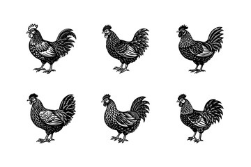leghorn vector art silhouette