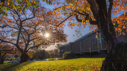 Univeristy of Canterbury, Autumn, Christchurch, New Zealand
