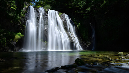 Fototapeta premium waterfall in the forest