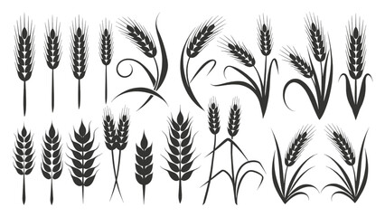 Diverse Collection of Stylized Wheat and Grain Silhouettes: Ears, Stalks, and Bundles, Ideal for Agriculture Themes, Food Packaging, Organic Product Labels, and Nature-Inspired Designs
