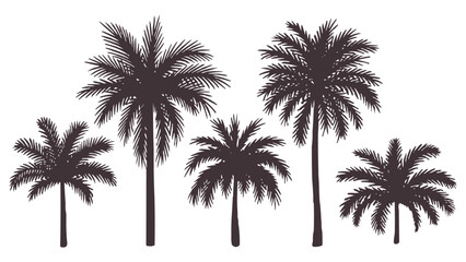 Diverse Collection of Realistic Palm Tree Silhouettes, Ideal for Tropical Landscape Designs, Beach Vacation Themes, Exotic Travel Brochures, and Summer Graphics