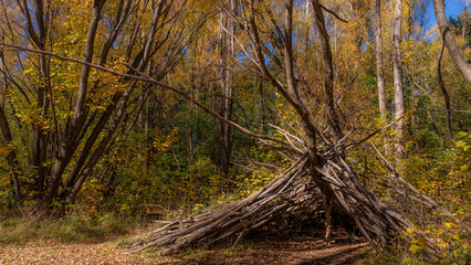 Autumn, Arrowtown, New Zealand