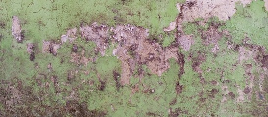 Heavily Distressed Green Wall with Peeling Paint