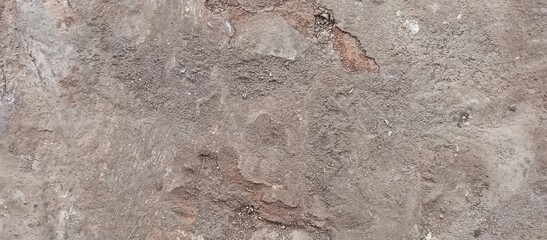 Old Deteriorated Concrete Wall with Exposed Bricks