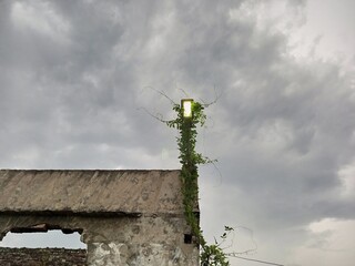 Overgrown Lamp Post on Abandoned Building Against Sky