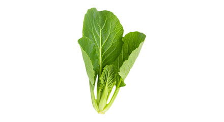 Fresh Green Mustard Leaves Nutritious Asian Vegetable, Perfect for Stir-Fries, Soups