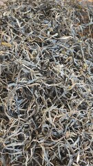 Dry tea leaves, health drinks, tea, dried tea, black tea, green tea leaves, organic tea in lao