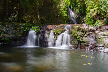 Obraz premium waterfall in the forest