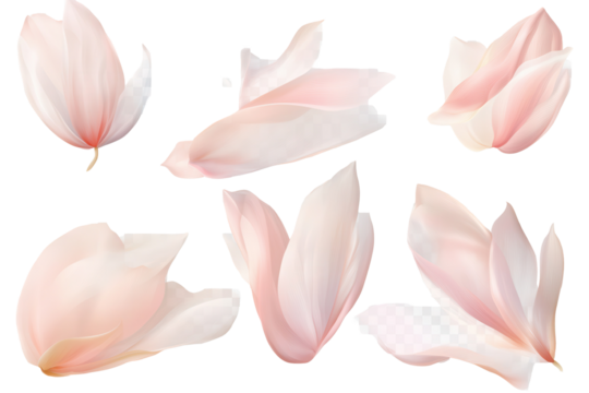 Elegant collection of soft pink flower petals delicately arranged on a light background, capturing the essence of spring in a serene and beautiful manner with graceful curves and gentle colors