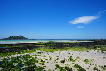 fine seascape with mossy rocks and clear water