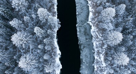 Frozen river through snowy forest