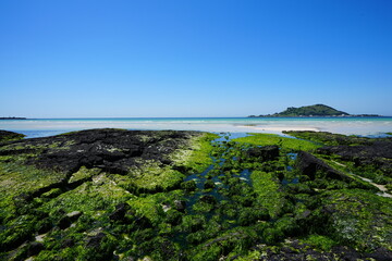 fine seascape with mossy rocks and clear water