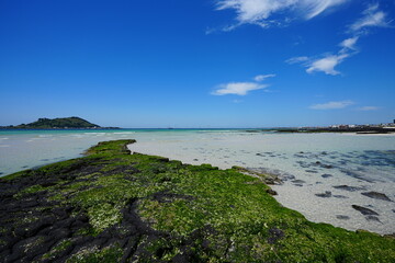 fine seascape with mossy rocks and clear water