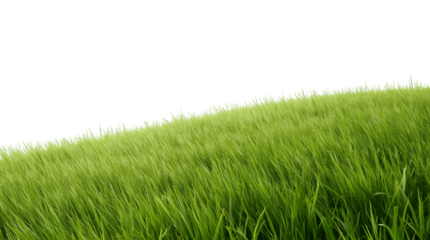 Vibrant green grass field blowing gently in the wind, nature background image